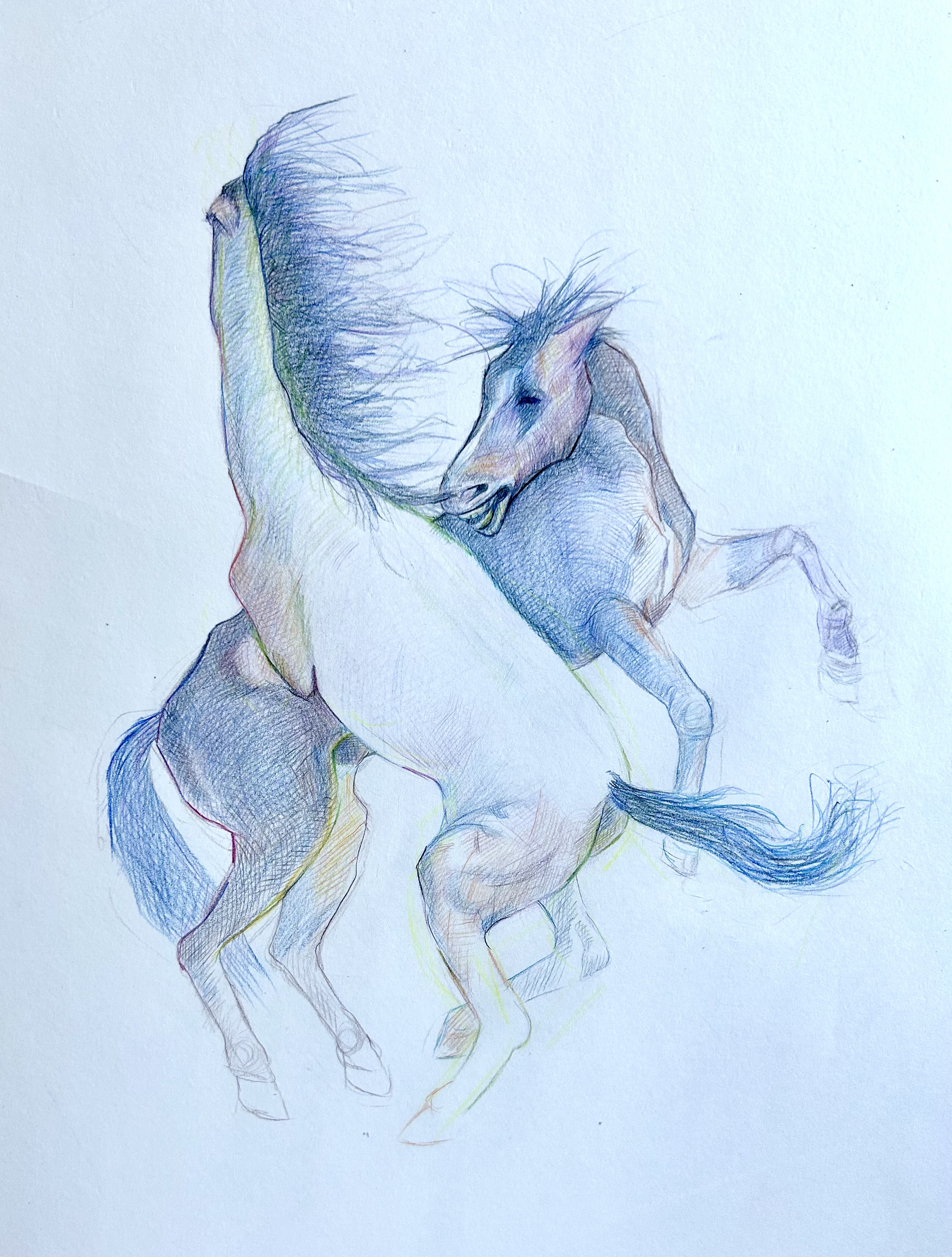 Untitled II